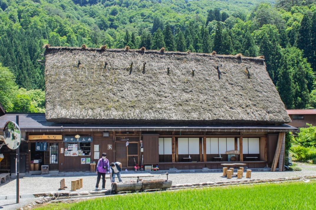 いっぷく ちな 食べる 買う 公式 白川郷観光協会