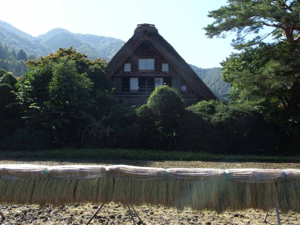 Shirakawa-go Gassho-zukuri Village Wada House, the Largest in the Area