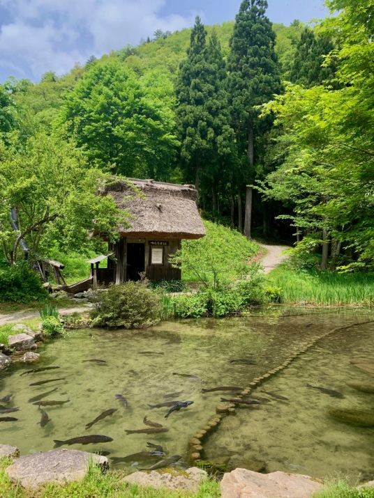 美しい合掌造り白川郷 白川郷合掌造り集落 今年も行きたい⛄️ 2023.1 撮影 #岐阜県