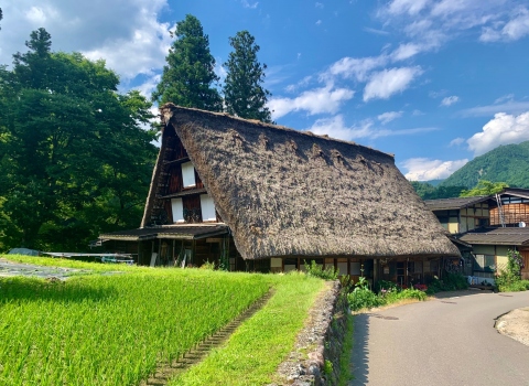 泊まる 公式 白川郷観光協会