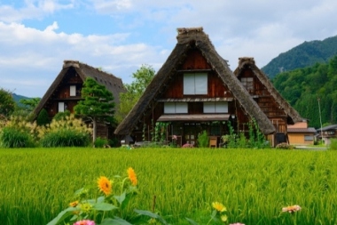 公式 白川郷観光協会