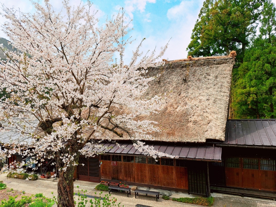 Otaya | Stay | Shirakawa-go Tourist Association