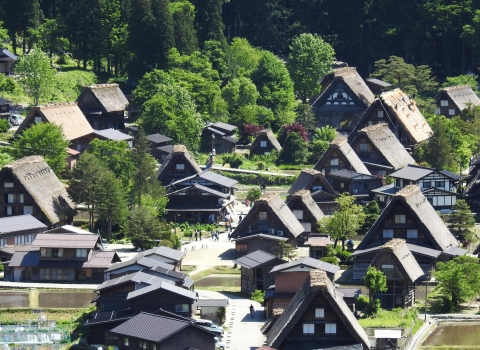 One-day bus tour to Shirakawa-go