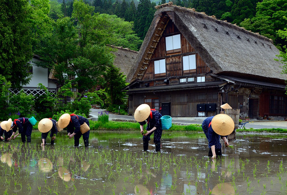 Walk around the World Heritage site