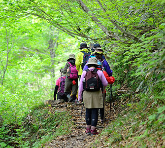 ツアー・アクティビティ