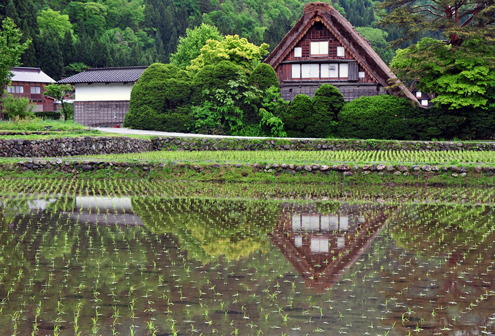 在世界遺產漫步