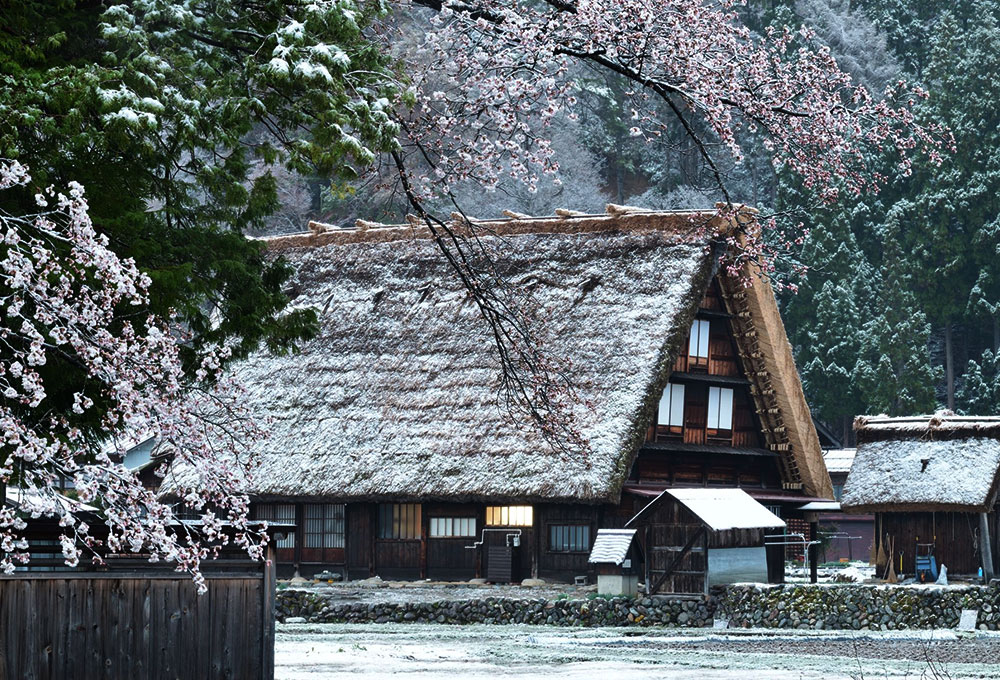 在世界遺產漫步