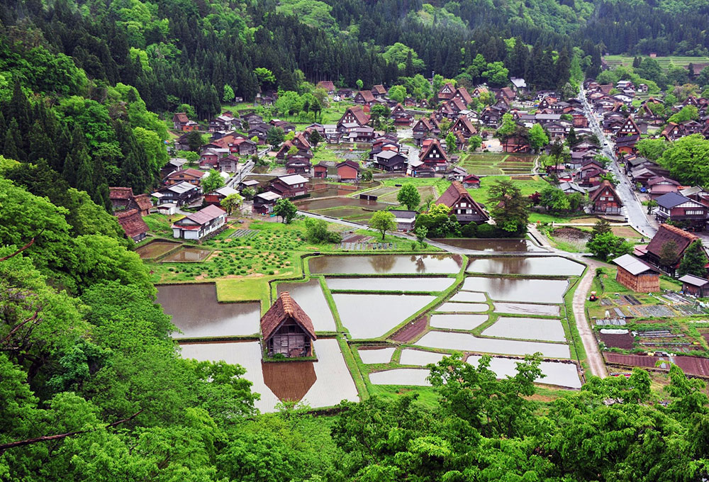 在世界遺產漫步