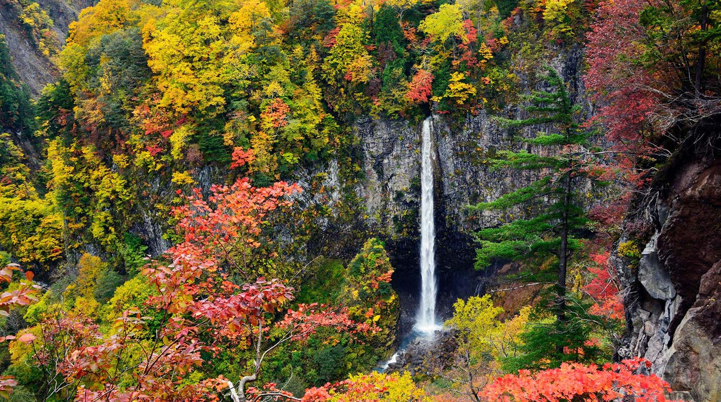 親身感受白川鄉四季變化之美