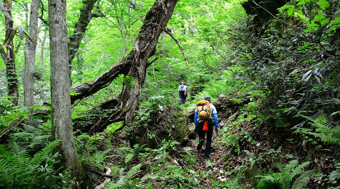 親身感受白川鄉四季變化之美