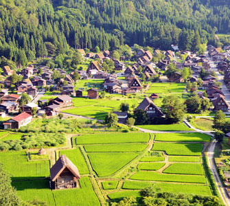 觀光・遊覽設施