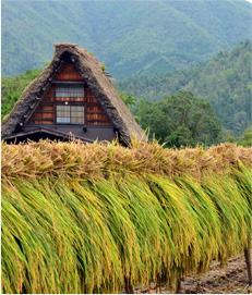 世界遺産 飛騨白川郷