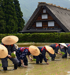 世界遺産 飛騨白川郷